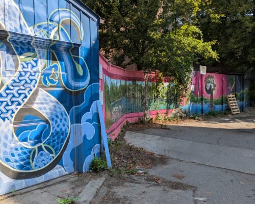 Copy Of Pxl 20250815 144146884 Copy Of Pxl 20250815 144146884