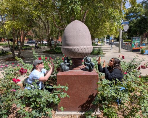 Copy Of Pxl 20250827 173716586 Copy Of Pxl 20250827 173716586